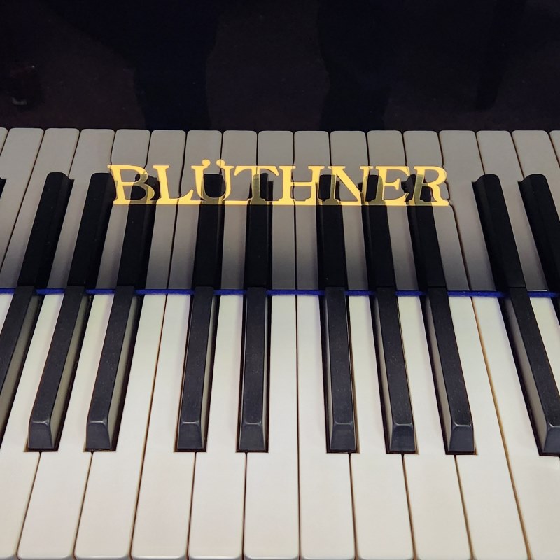 Blüthner Flügel